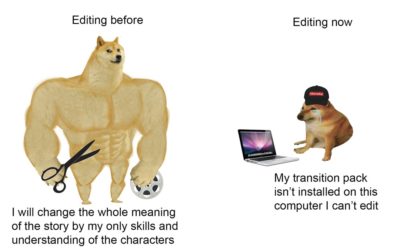 Professional Editor