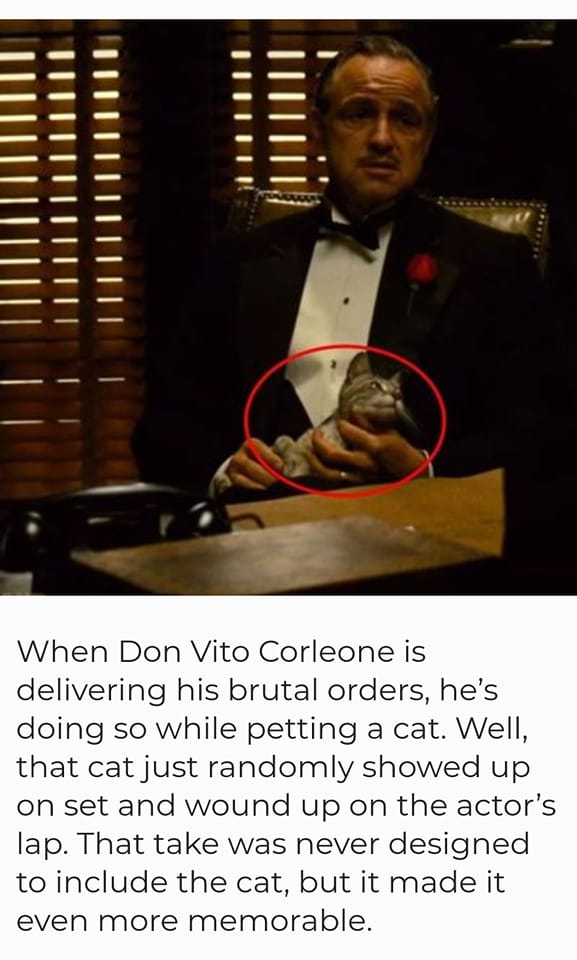 Don Vito Corleone delivering his best scene with a cat in his lap