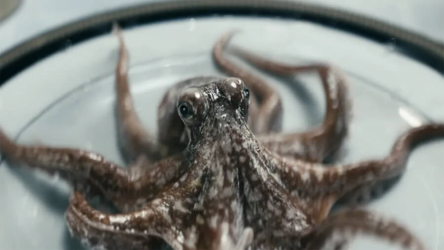 Timothy the Octopus in The Boys Season 3